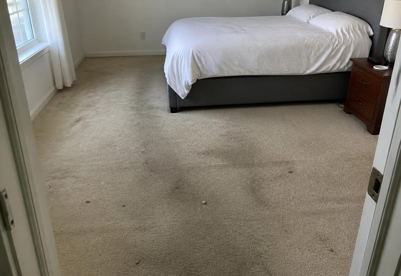 Illustrative example of a carpet deep clean before cleaning